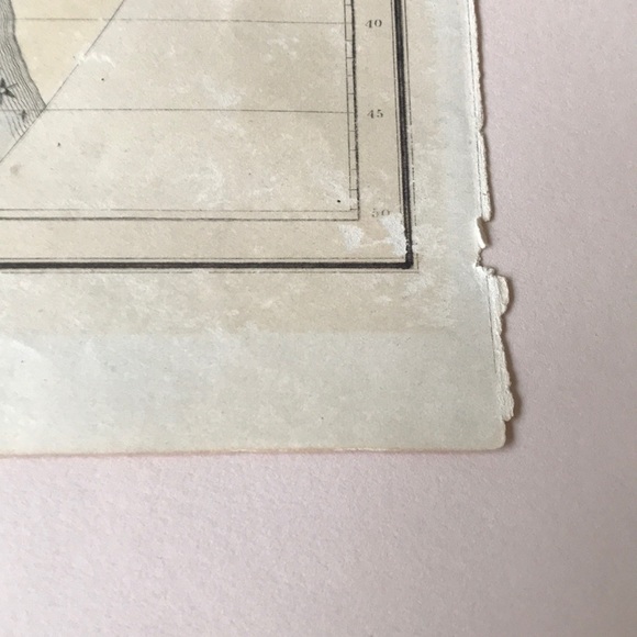 Antique Astrological Print